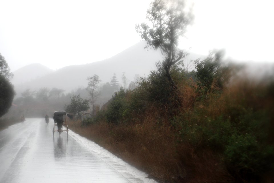 Pousse pousse sous le deluge