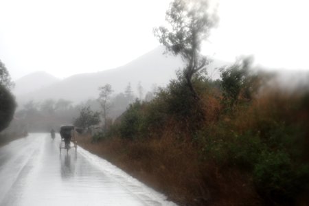 Pousse pousse sous le deluge photo