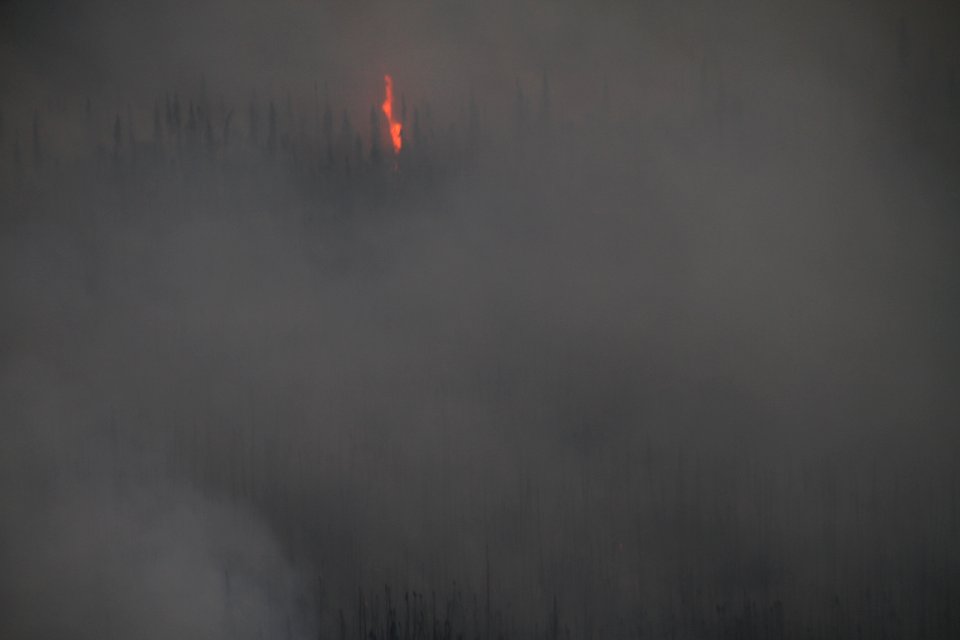 Currant Creek Fire, Lake Clark NP