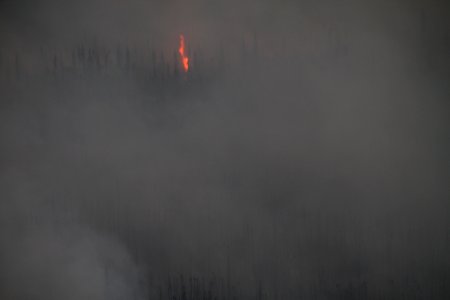 Currant Creek Fire, Lake Clark NP