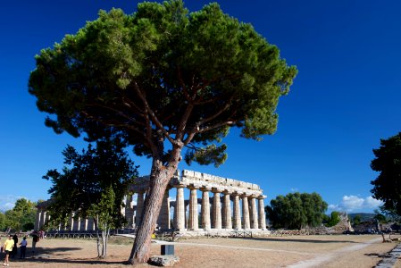 Paestum