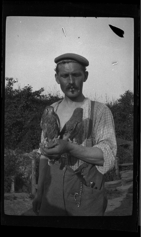 man with falcons