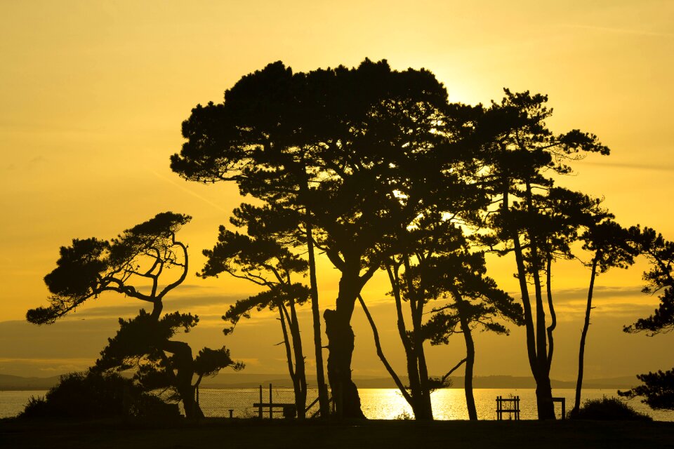 Sunset silhouetts orange sky