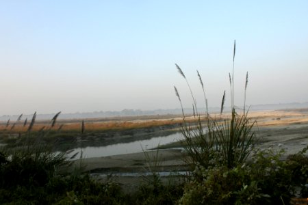 View from the watchtower, Chilapata