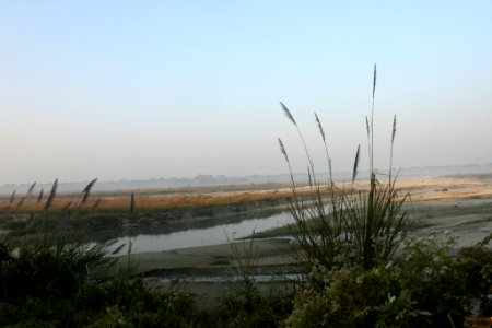 View from the watchtower, Chilapata photo