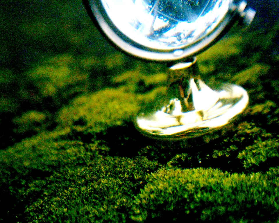 vivitar3315 + biconvex lens 049