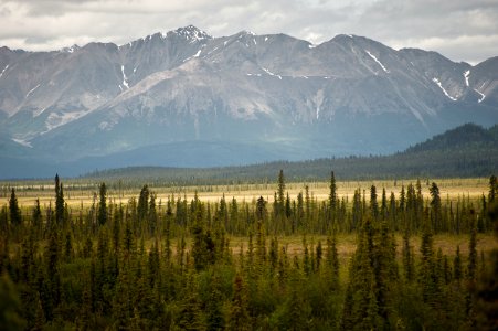 Nabesna Road - Wrangell-St. Elias