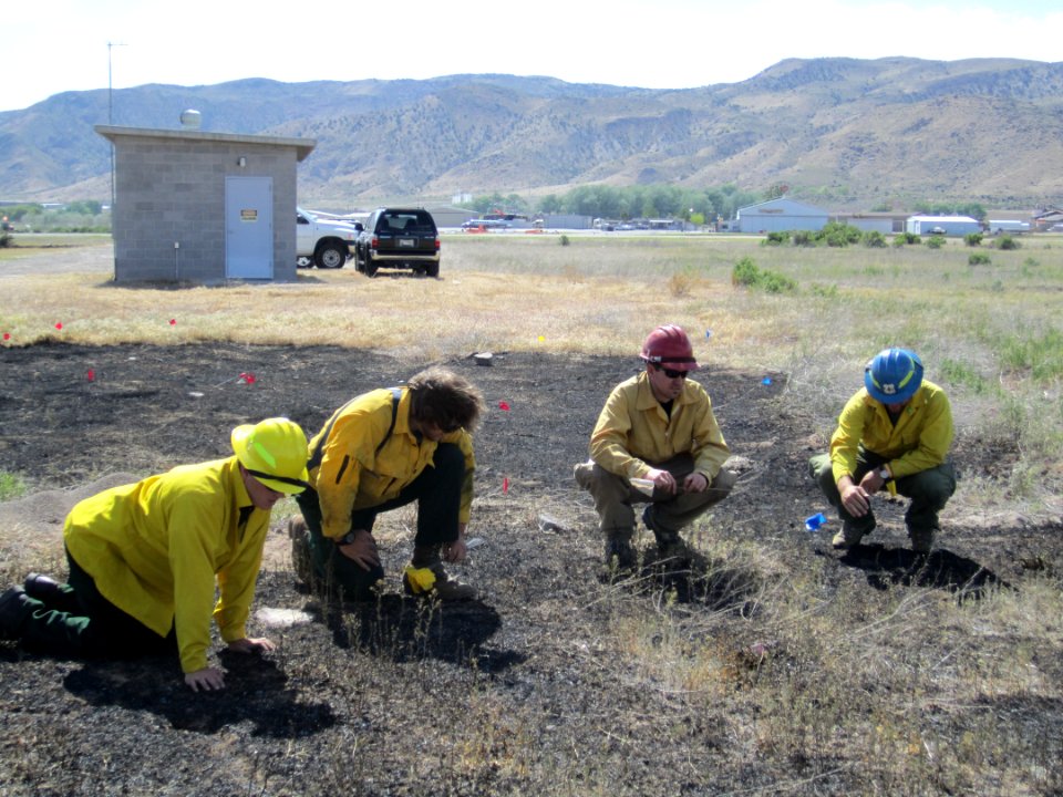 FI-210 Wildland Fire Origin & Cause Determination