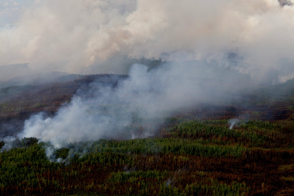 Marie Creek Fire, 6/24/12