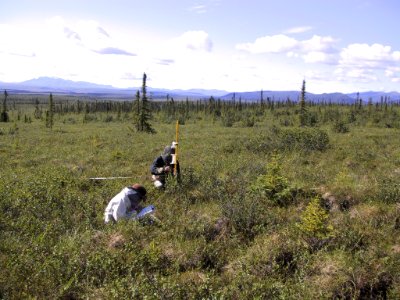 Biological technicians James Walton and Jedediah Brodie collect plant cover data in the Toklat Basin ecoregion of Denali NP during the first season of fieldwork for this project in 2001.