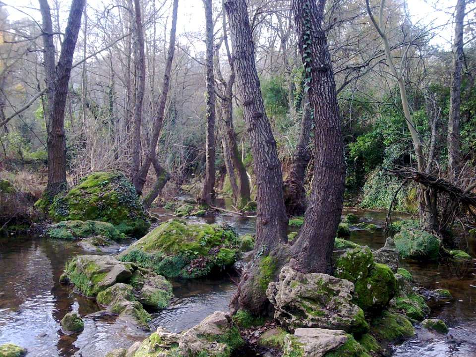 Cascadas del Huesna