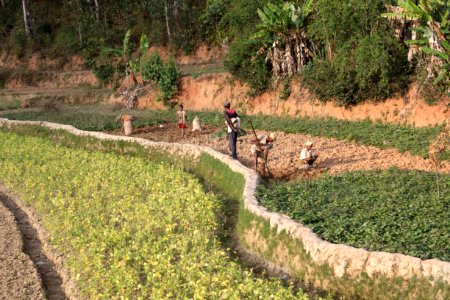 De Fianarantsoa a Ambositra