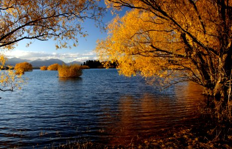 Autumn at Lake Tekapo NZ (16) photo