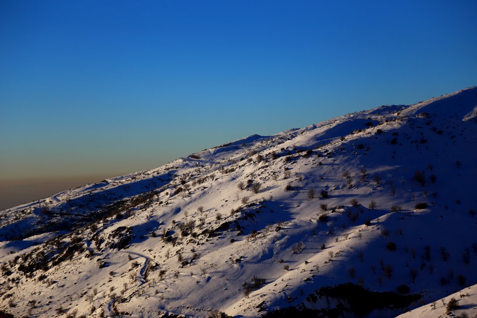 IMG 3698