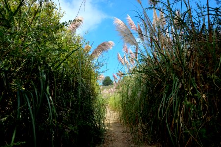 Rancho Corral de Tierra