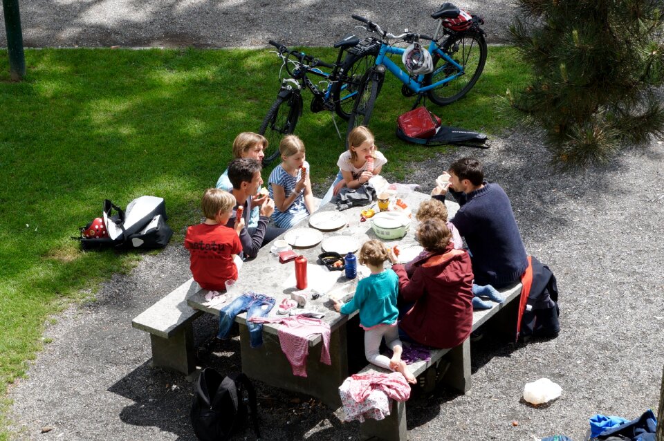 Picnic brunch socializing