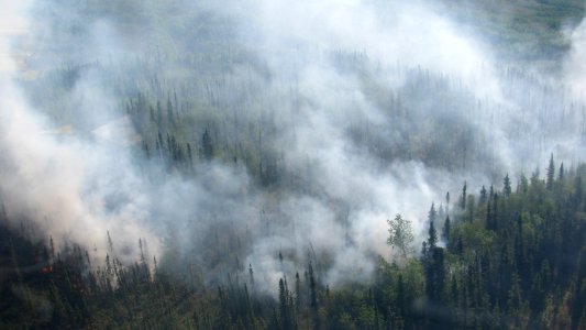 Marie Creek Fire, 6/14/12