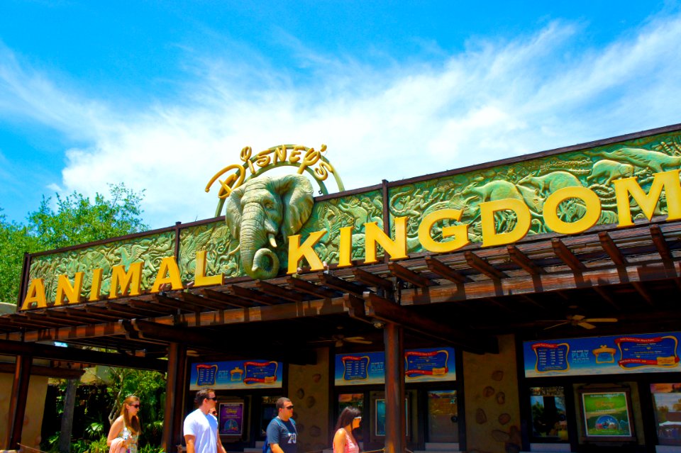 Welcome to Animal Kingdom