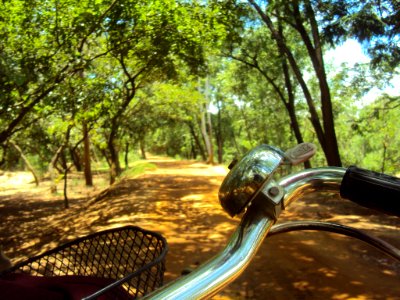 The road lies ahead
