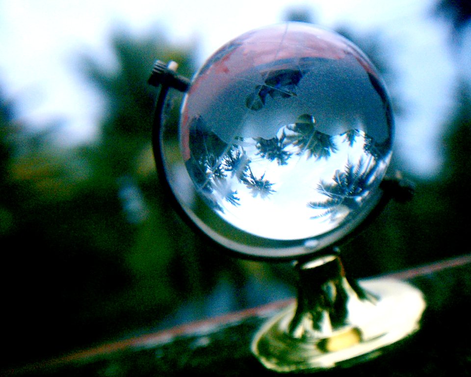 vivitar3315 + biconvex lens 051