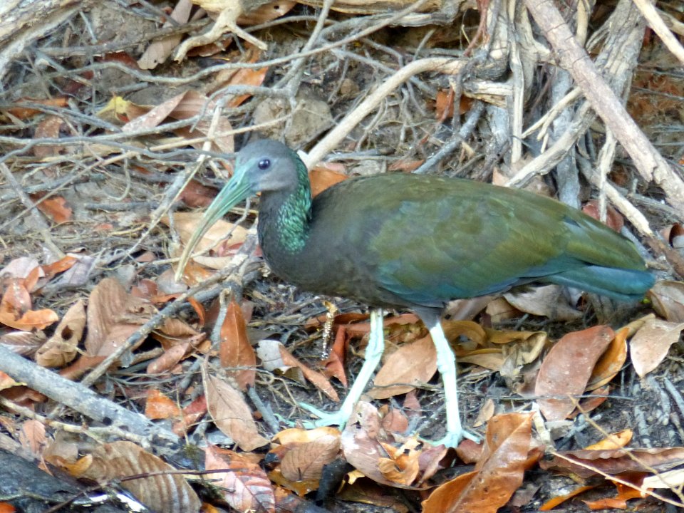 P1090048