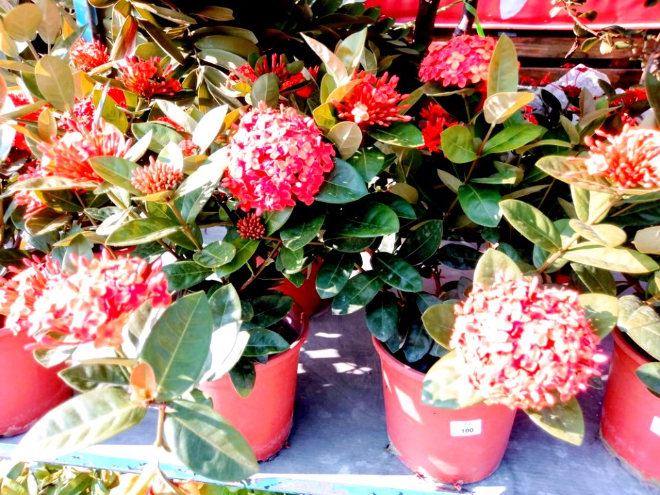IMAG0012