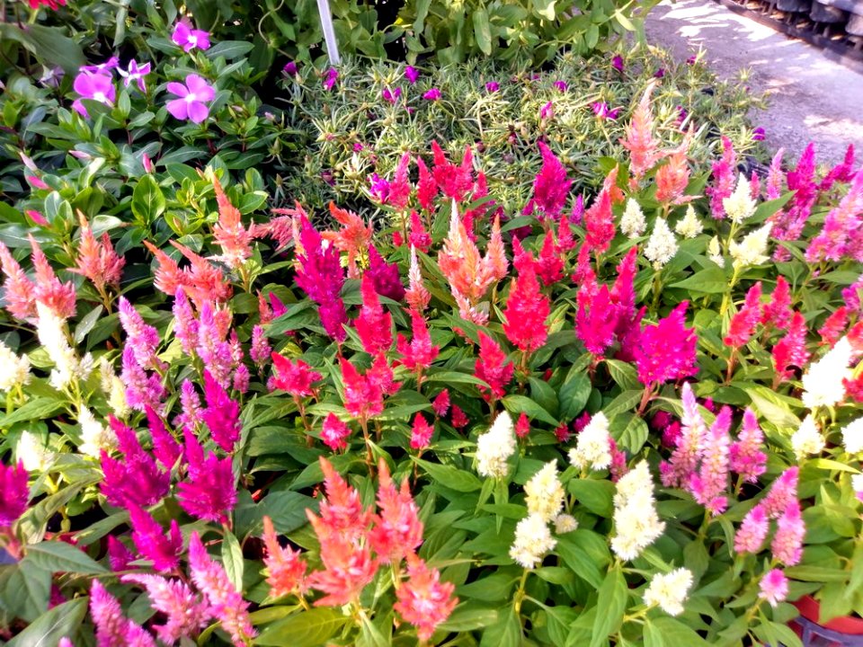 IMAG0015