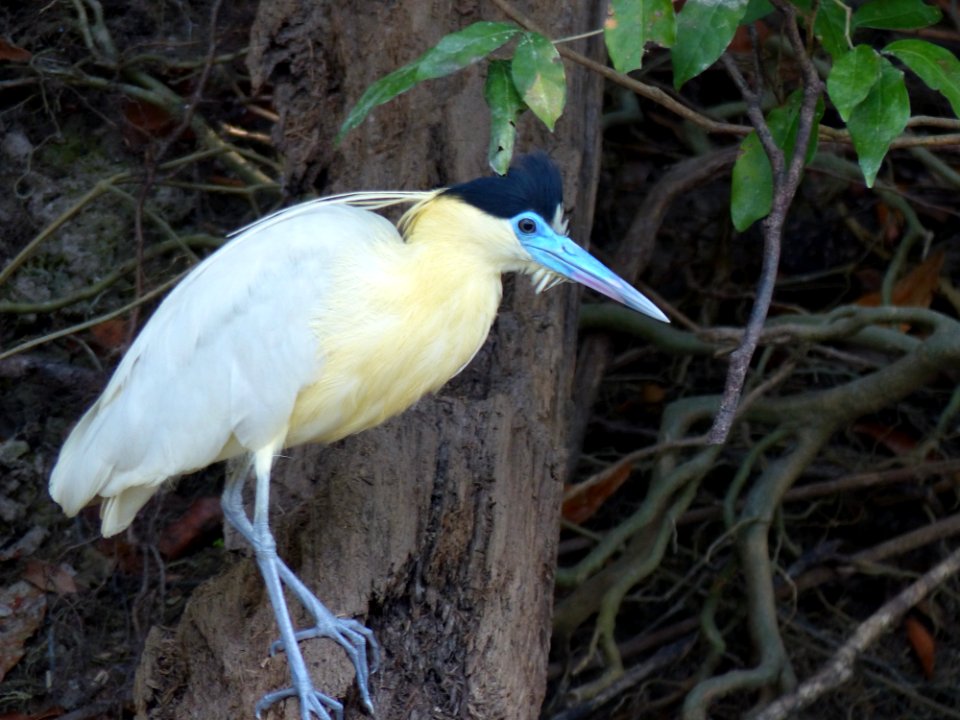 P1070570