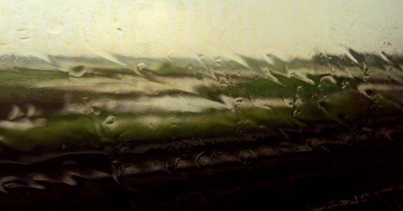 Rain water against the window