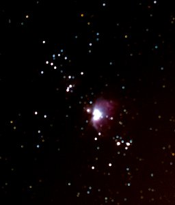 Orion Nebula - 1st attempt
