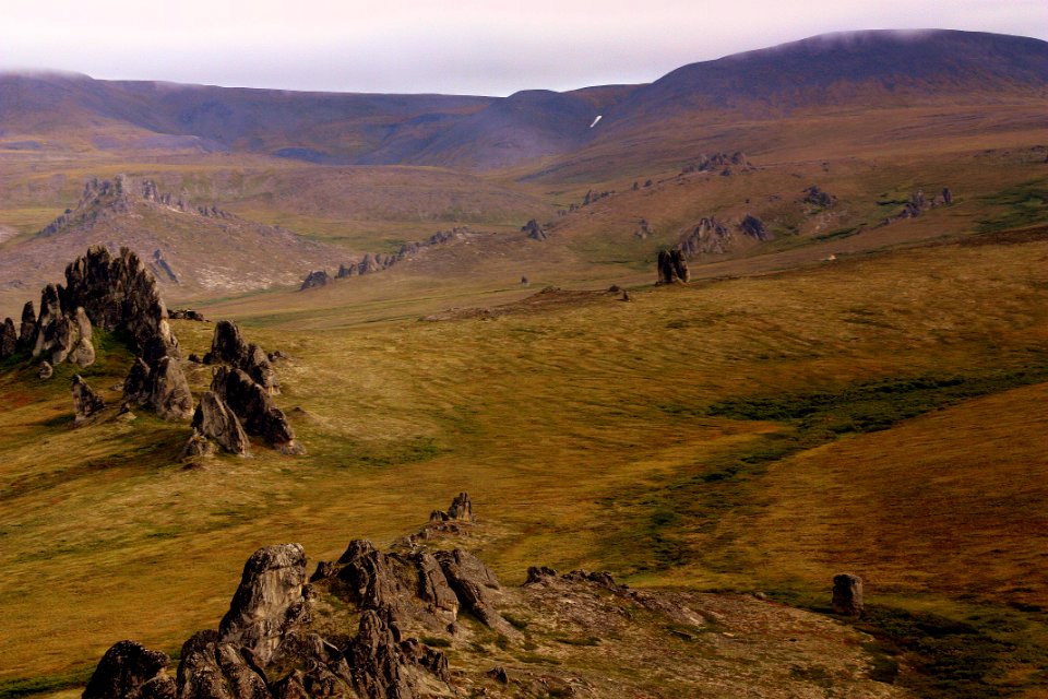 20120823-Serpentine Tors2