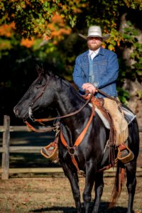 Whitehall Equestrian