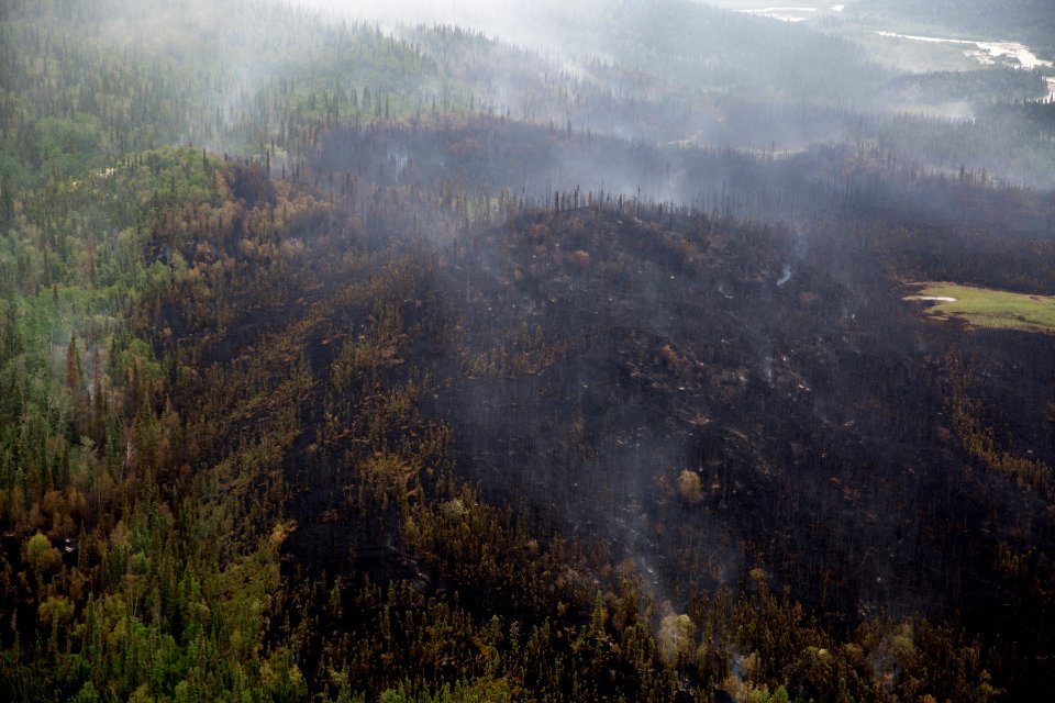 Currant Creek Fire, 6-27