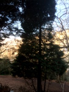 Mycenae House gardens