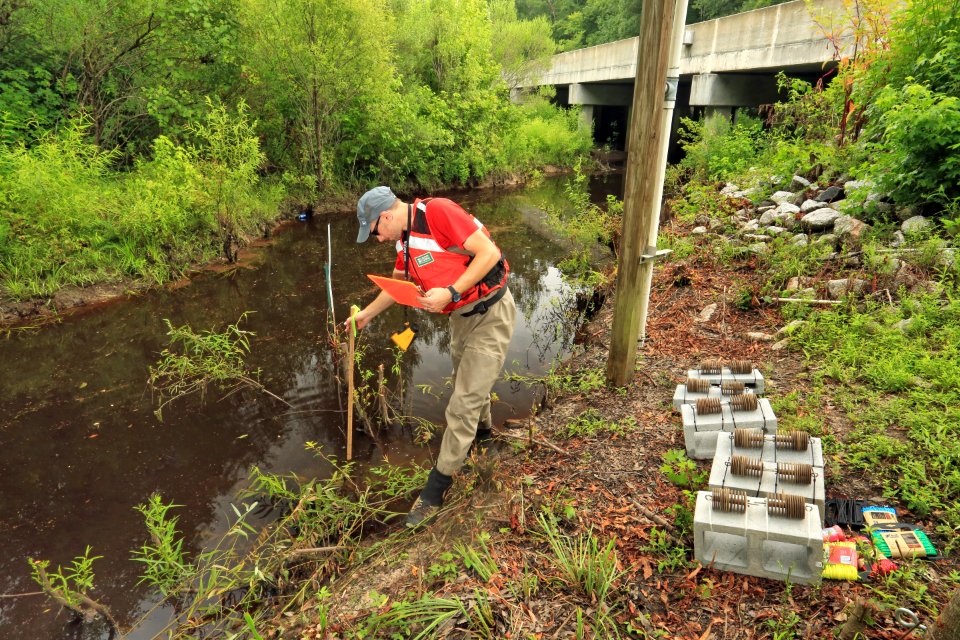 U.S. Geological Survey, Sample Site, Turkey Creek, at Highway 41, Francis Marion National Forest, Berkeley County, South Carolina, Jeff Riley 1