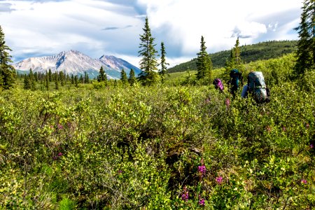 Backpackers Bushwhacking in Donoho Basin
