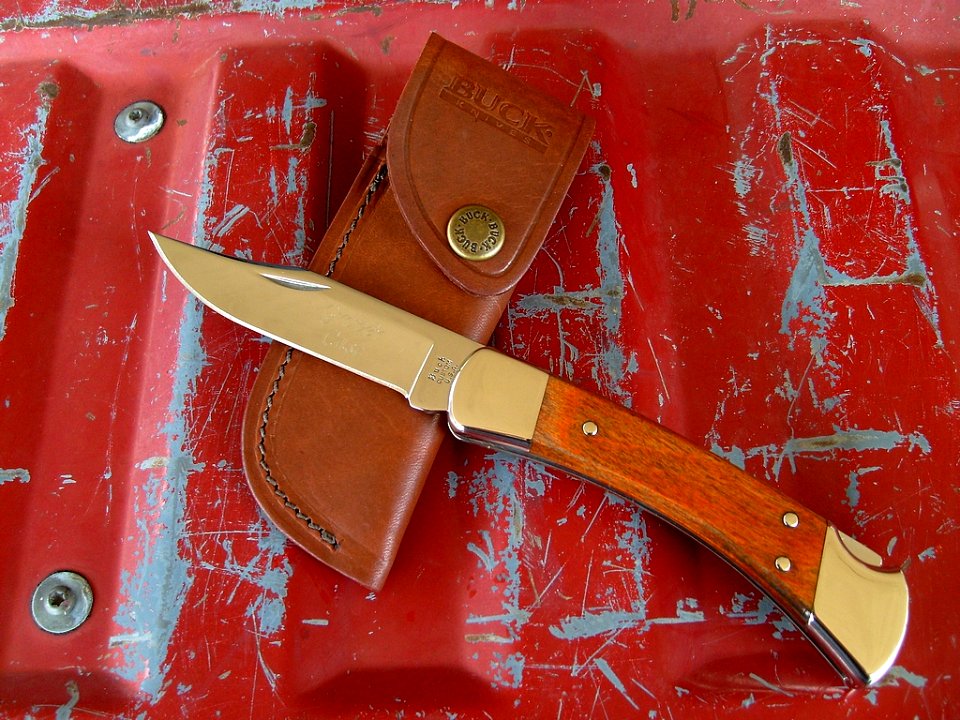 Buck 110 Custom
