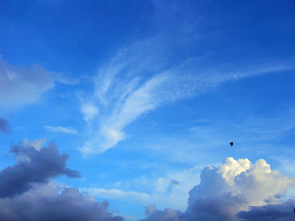 Cloud plume, comet-like
