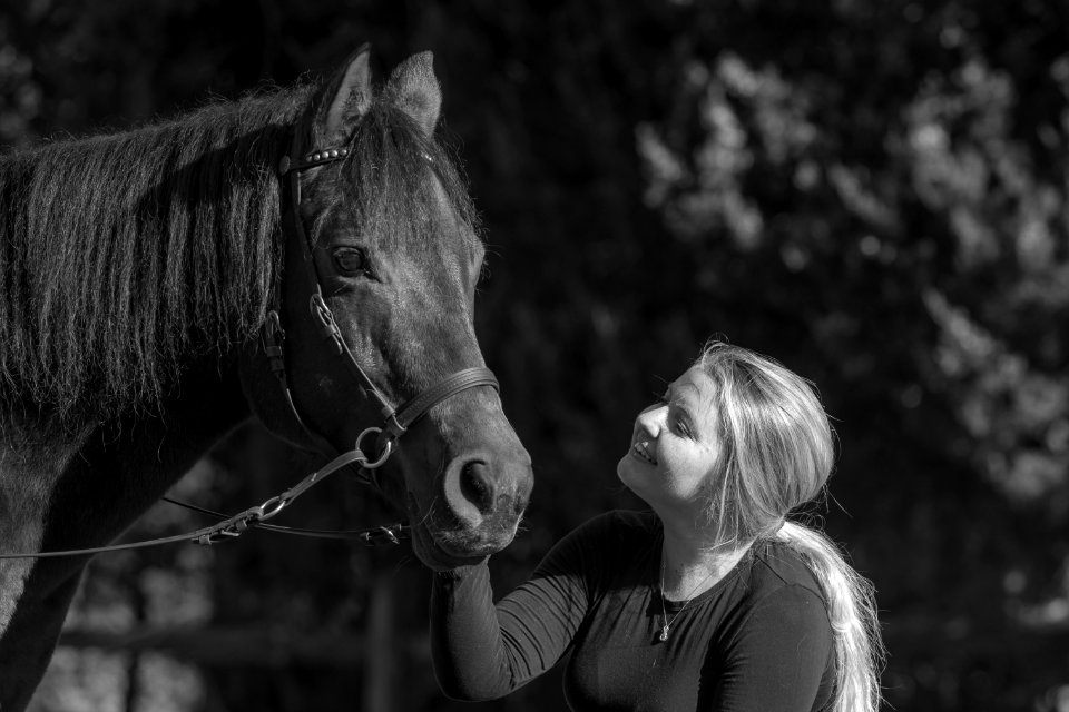 Whitehall Equestrian