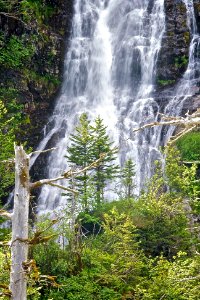 close waterfall and snags KEFJ photo