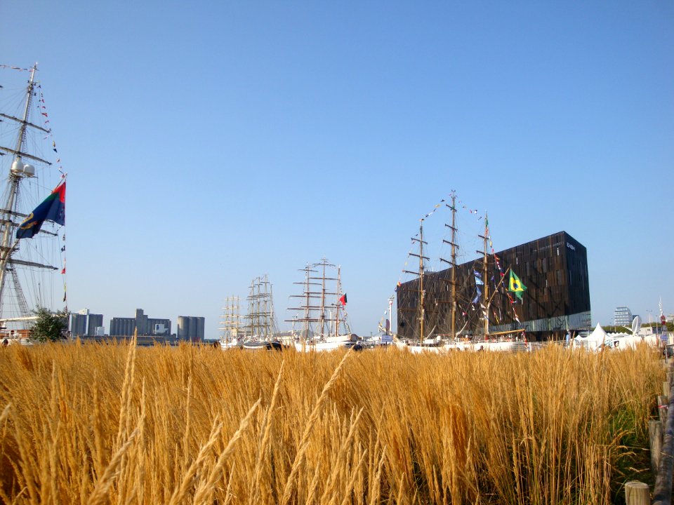 Les grandes voiles dans les champs