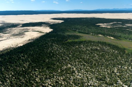 The Great Kobuk Sand Dunes photo