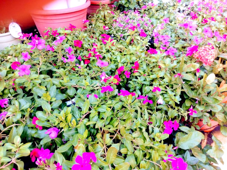 IMAG0028