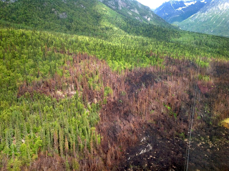 Aerial view looking SE