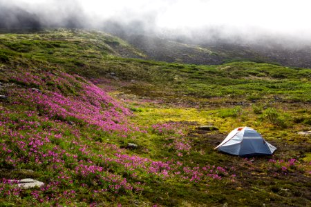 Camping in the Fog