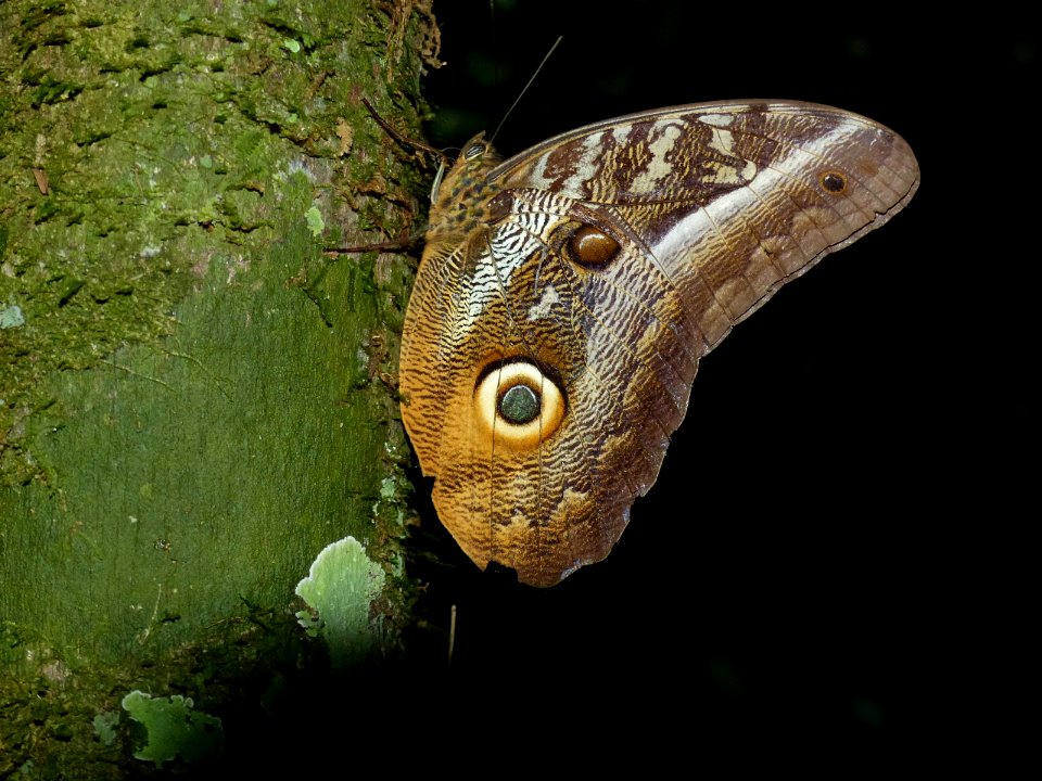 P1080814