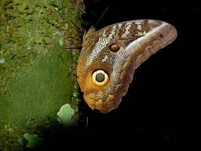 P1080814