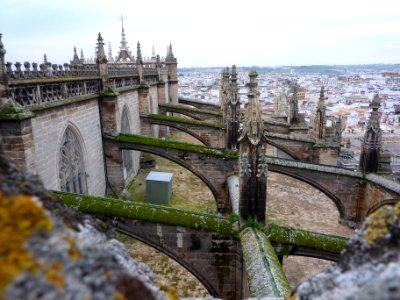 Tejados de la Catedral photo