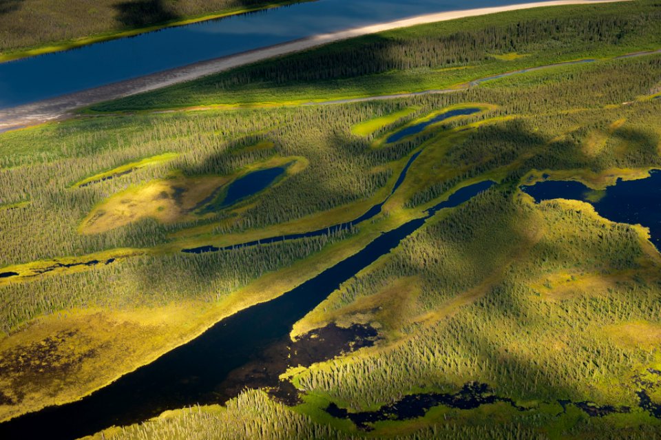 Wetlands along the Kobuk River