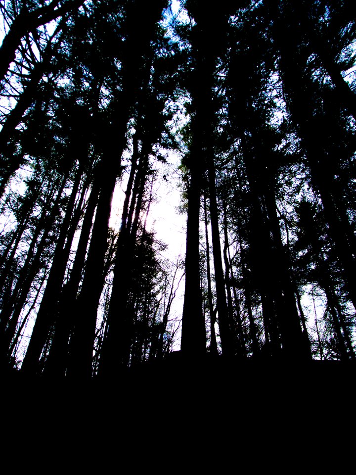 mt pisgah-007